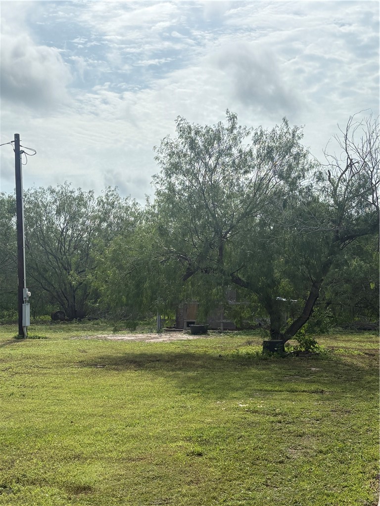 6995 County Road 12 Property Photo 19