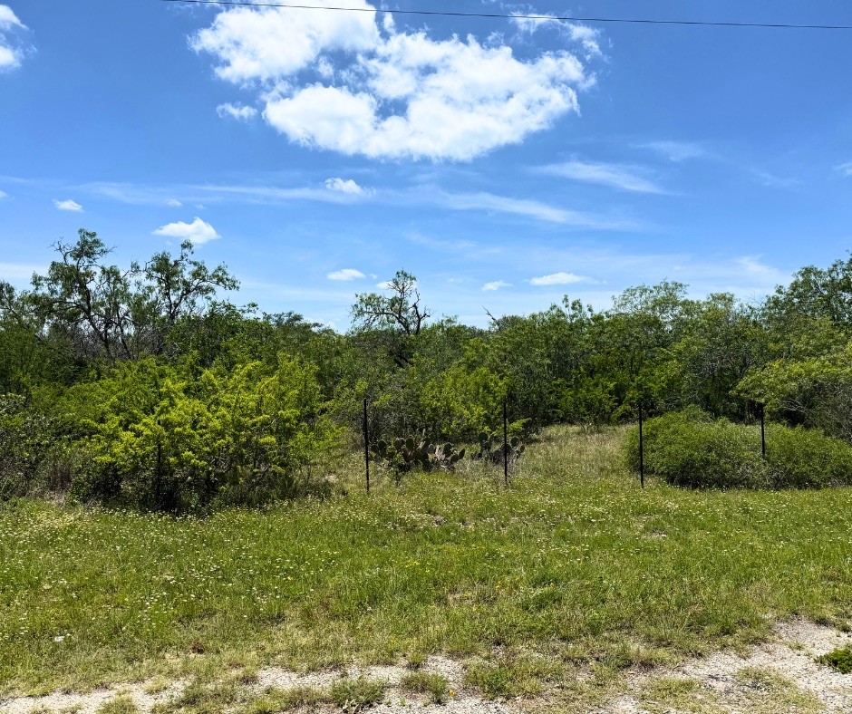 0 County Road 334 Property Photo 3