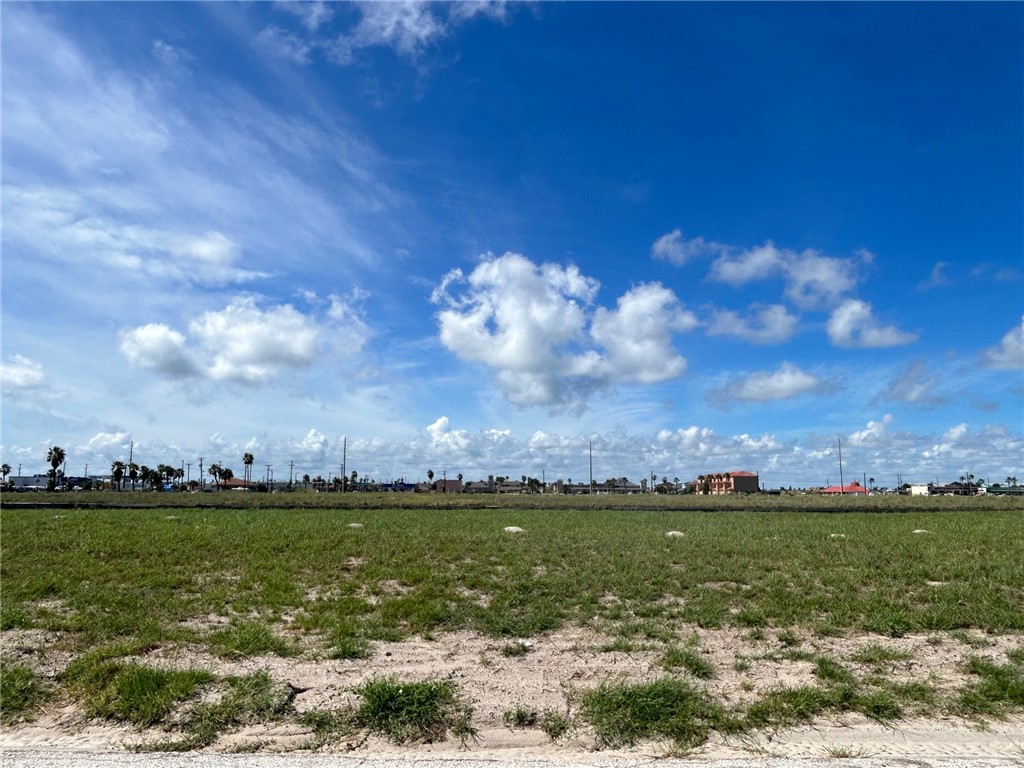 15229 Cane Harbor Blvd Property Photo 9