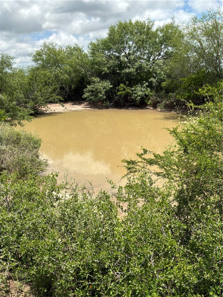0 Private Road Property Photo 4