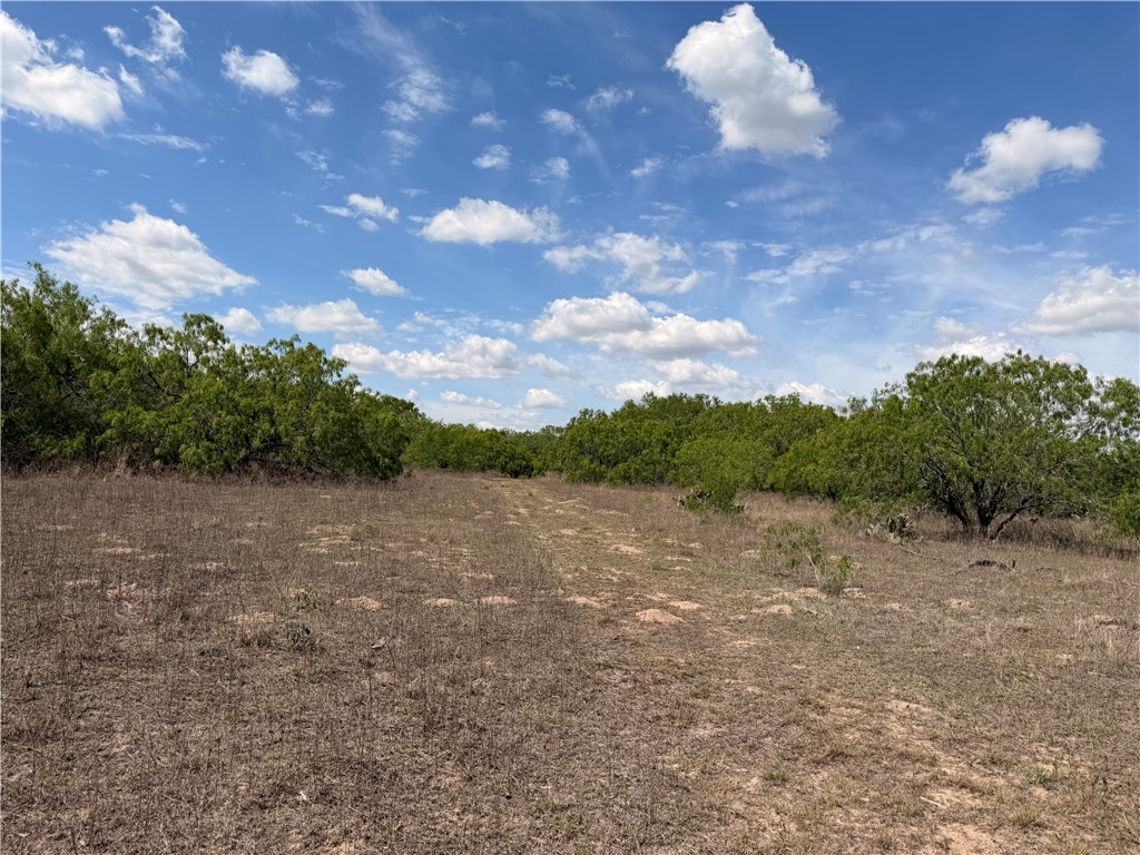 0000 Fm 534 Property Photo 24