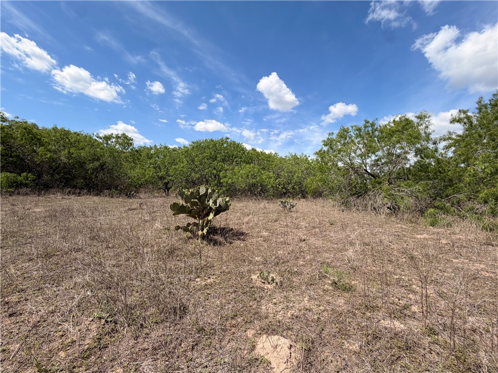 0000 Fm 534 Property Photo 26