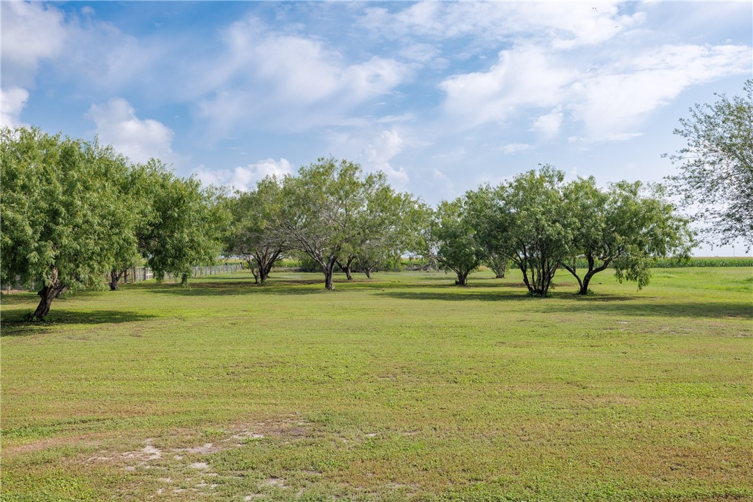 4812 County Road 38 Property Photo 10