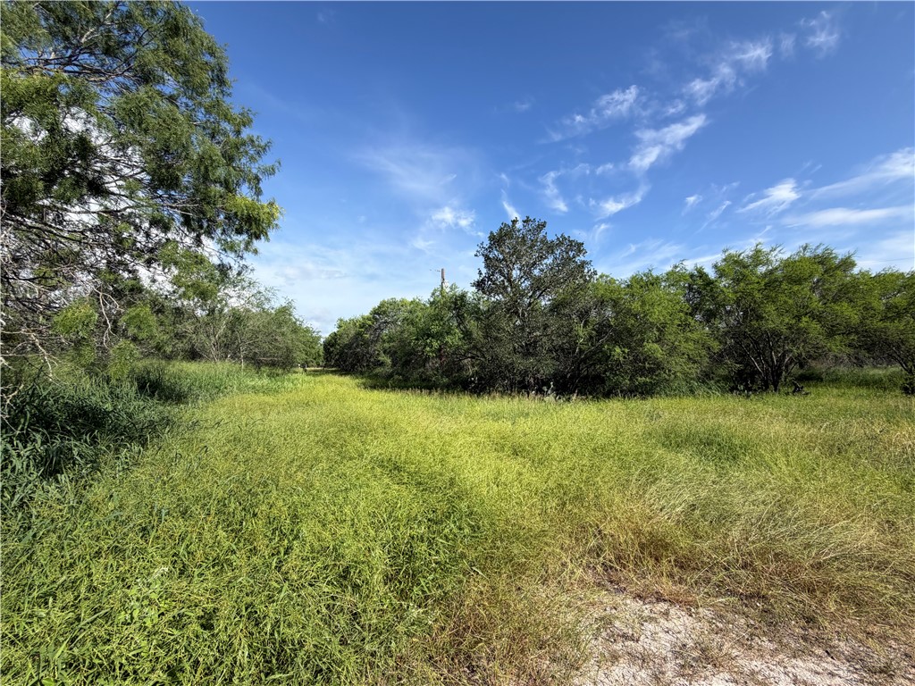 301 Paisano Dr. Property Photo 1