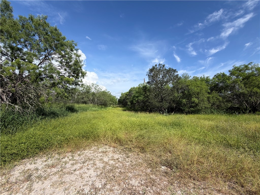 301 Paisano Dr. Property Photo 2