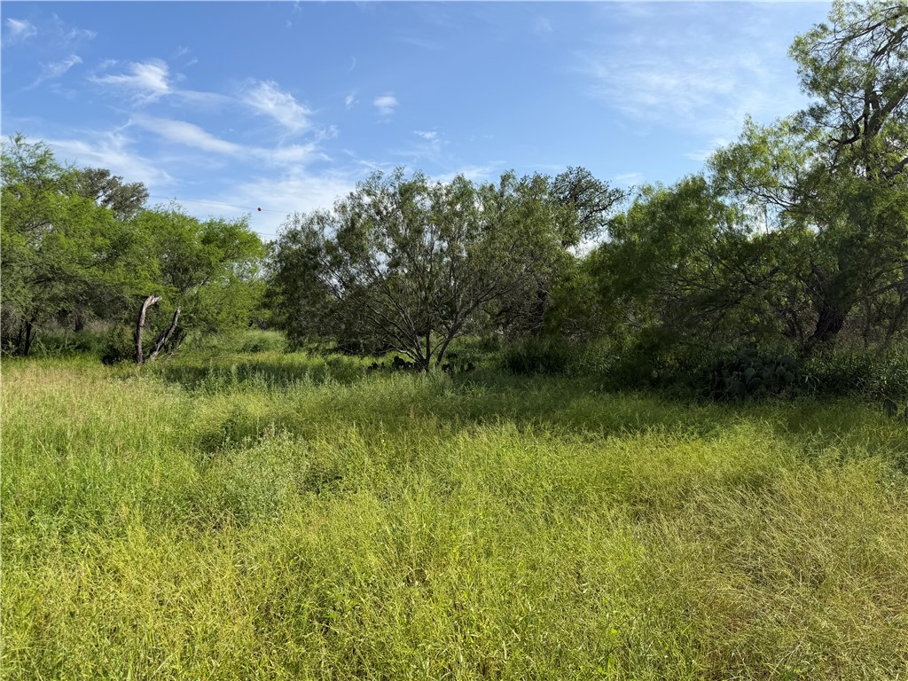 301 Paisano Dr. Property Photo 3
