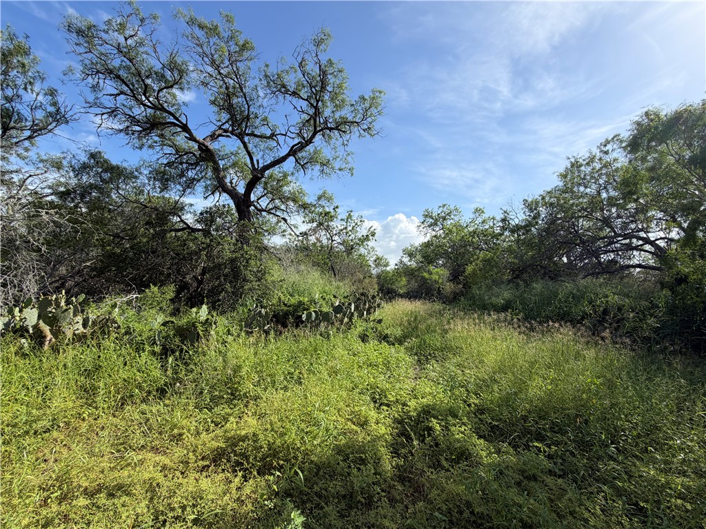 301 Paisano Dr. Property Photo 5