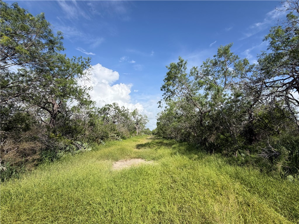 301 Paisano Dr. Property Photo 6