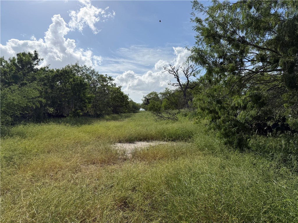 301 Paisano Dr. Property Photo 7