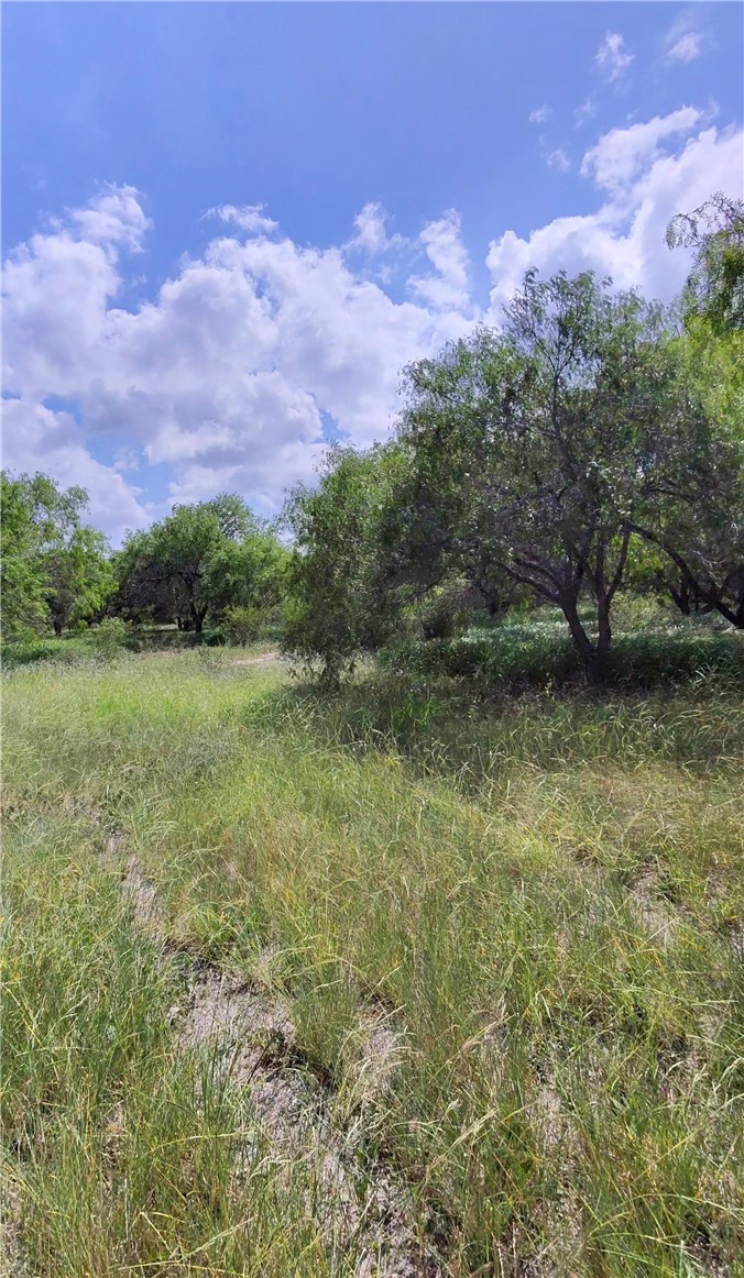 14417 County Road 1478 Property Photo 3