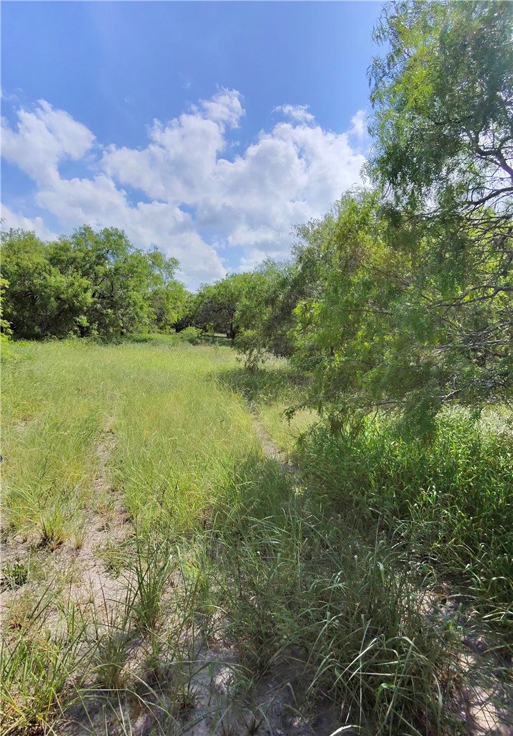 14417 County Road 1478 Property Photo 4