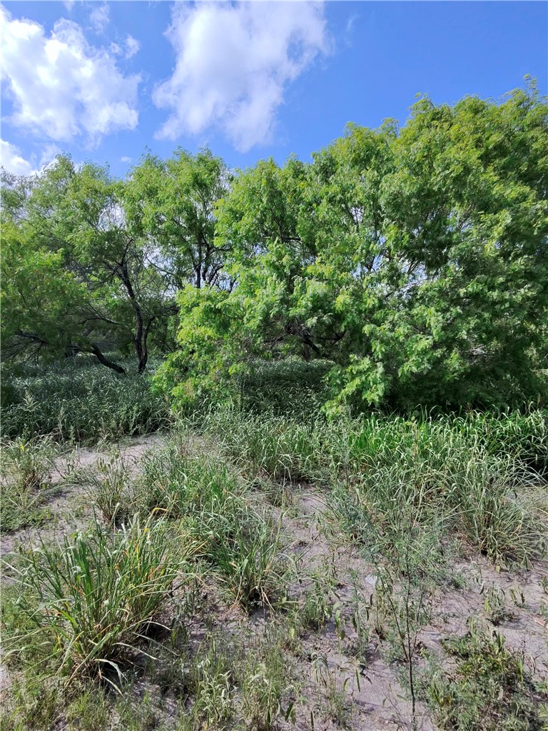 14417 County Road 1478 Property Photo 9