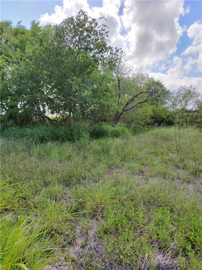 14417 County Road 1478 Property Photo 10