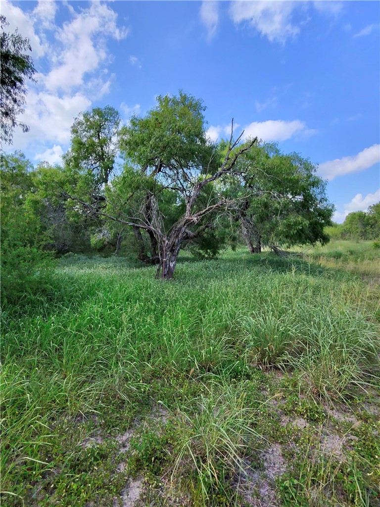 14417 County Road 1478 Property Photo 11