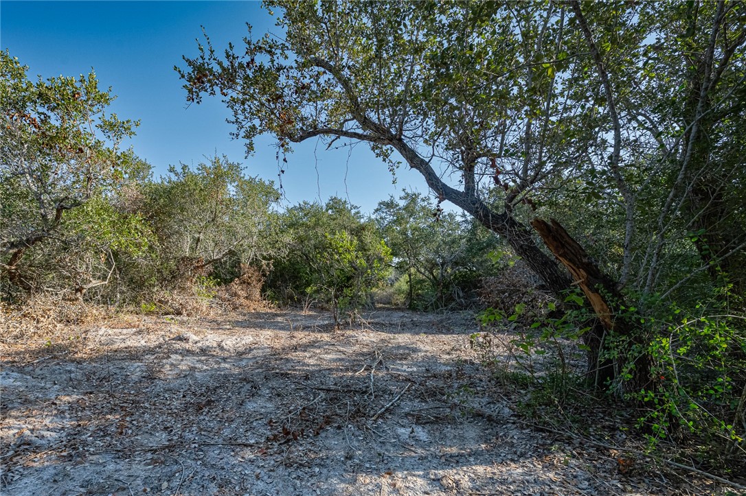 1501 Prairie Property Photo 3