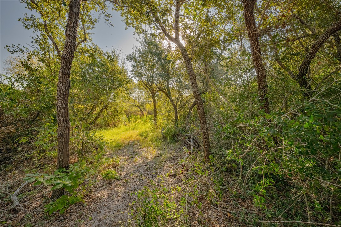 1501 Prairie Property Photo 4
