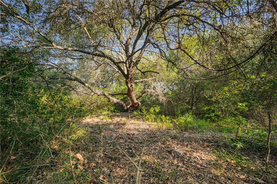 1501 Prairie Property Photo 5