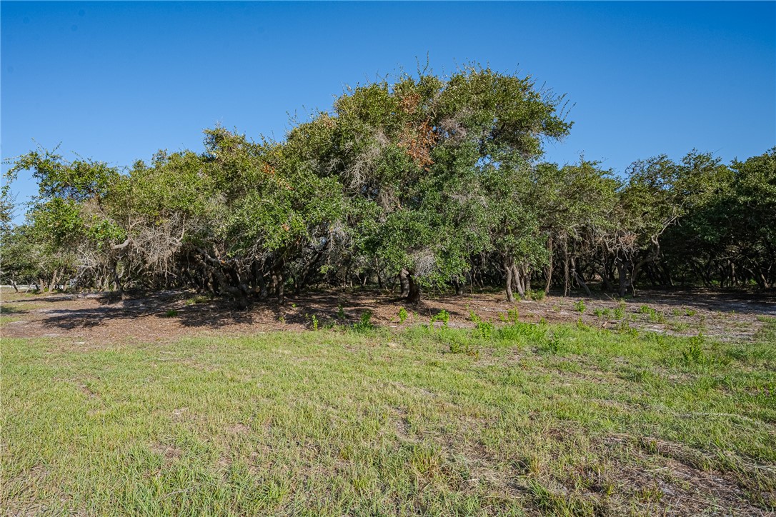 1501 Prairie Property Photo 6