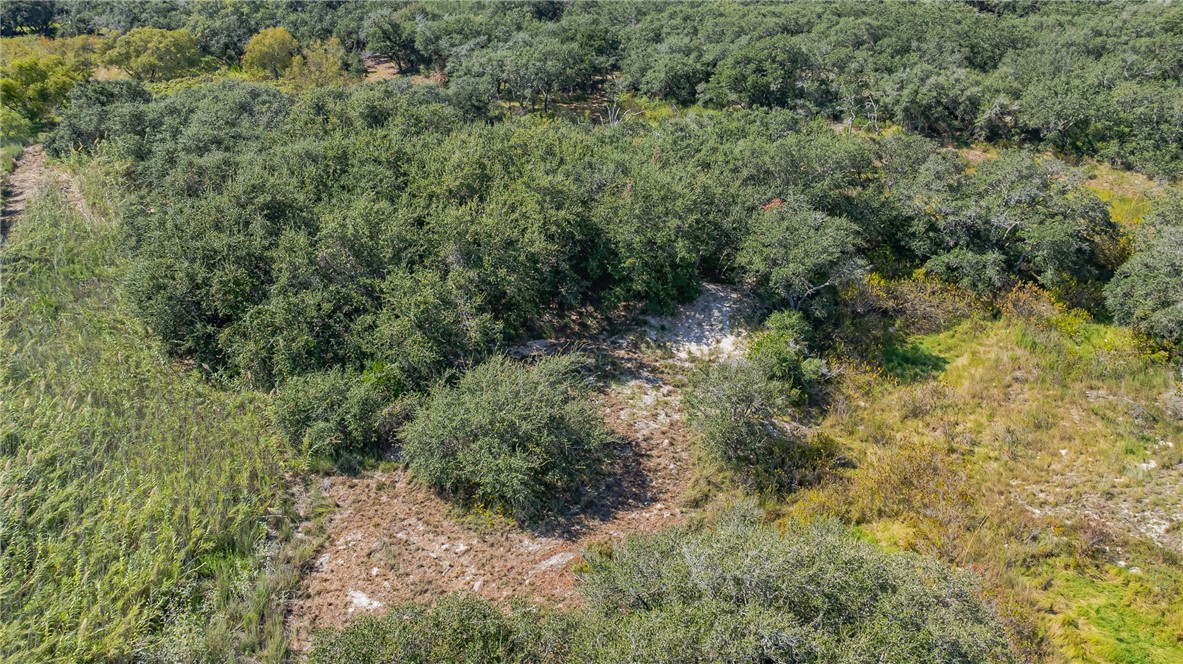 1501 Prairie Property Photo 11