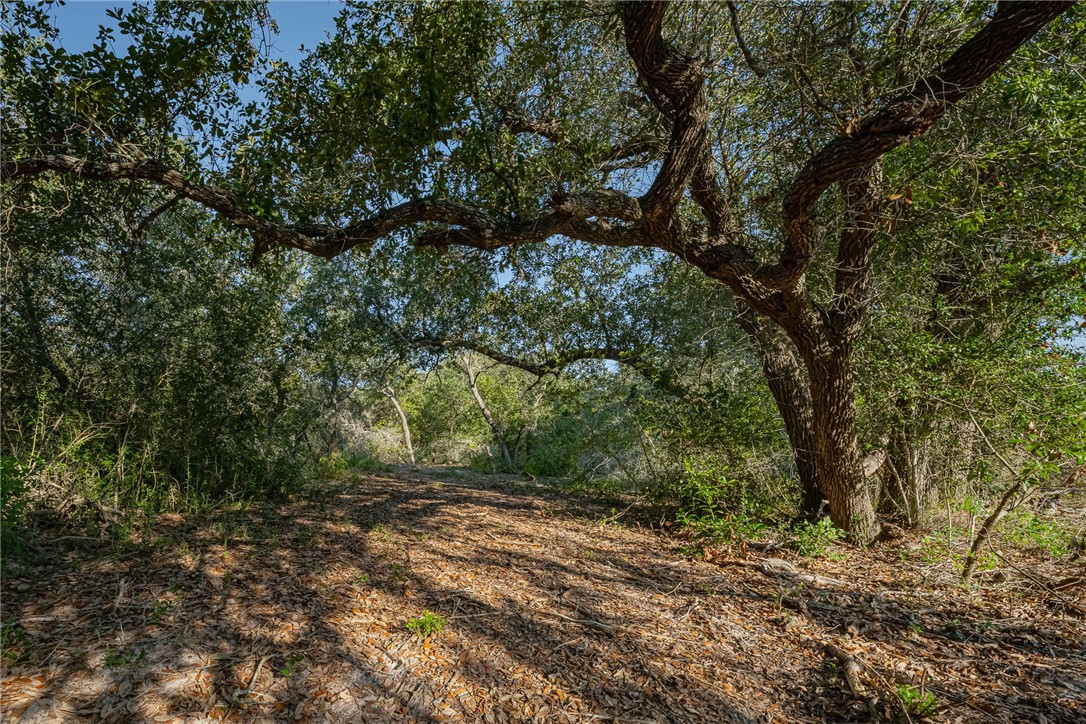 1501 Prairie Property Photo 14