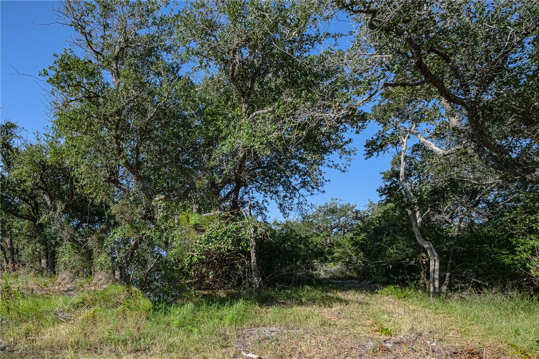 1501 Prairie Property Photo 15