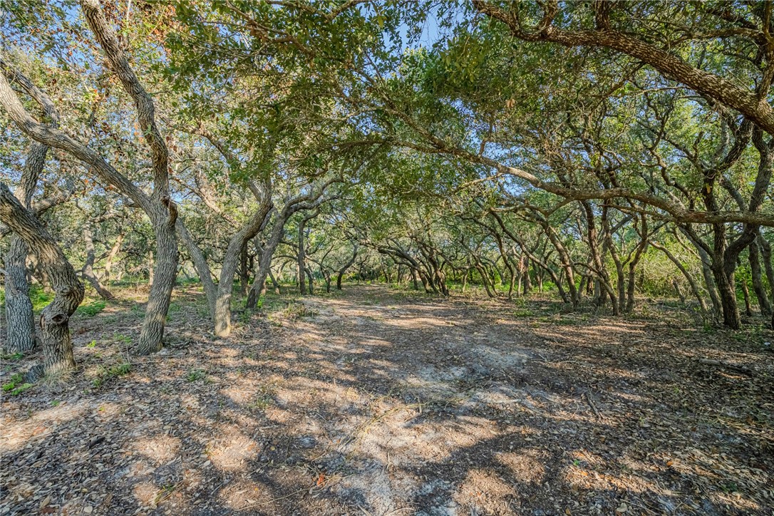 1501 Prairie Property Photo 17
