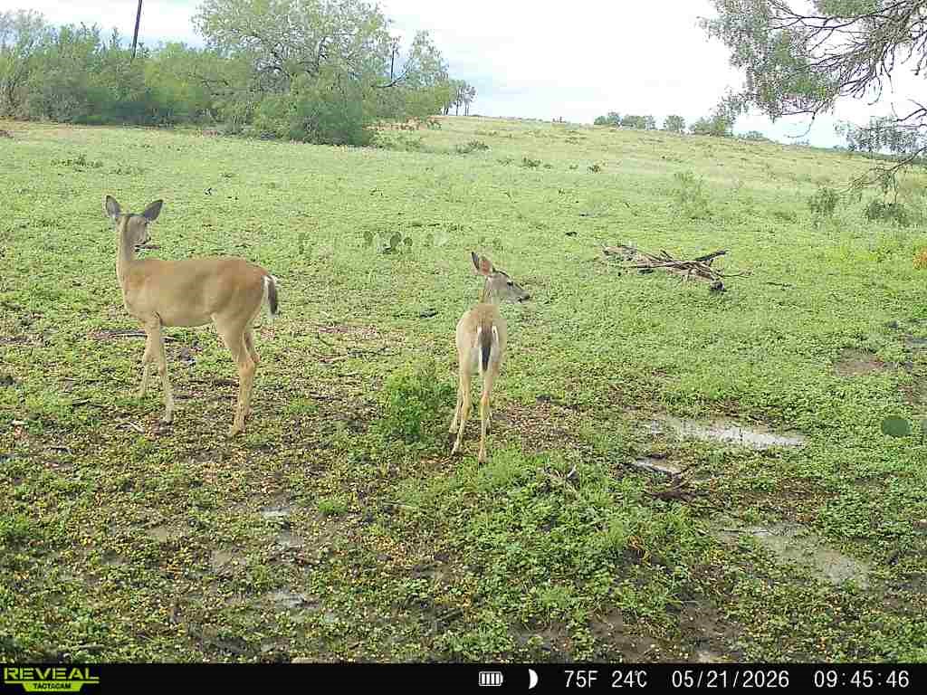 2558 County Rd 104 Property Photo 2