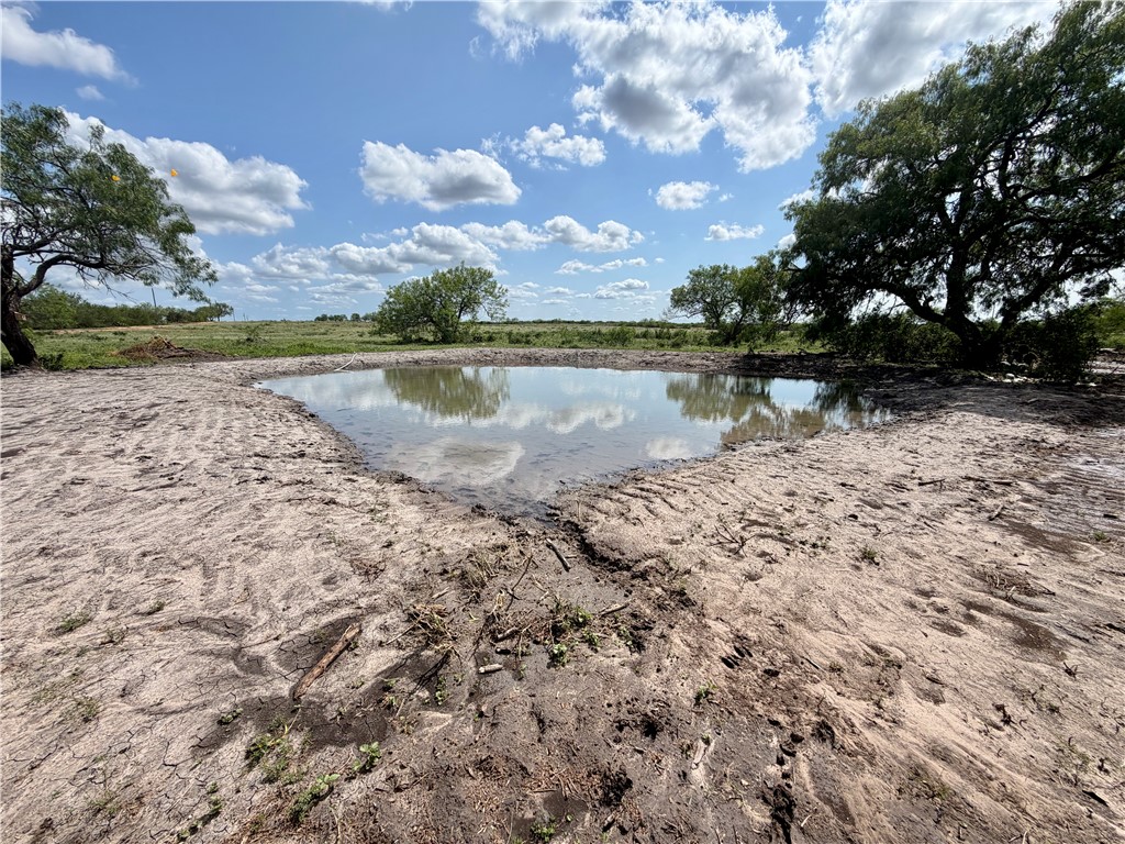 2558 County Rd 104 Property Photo 3