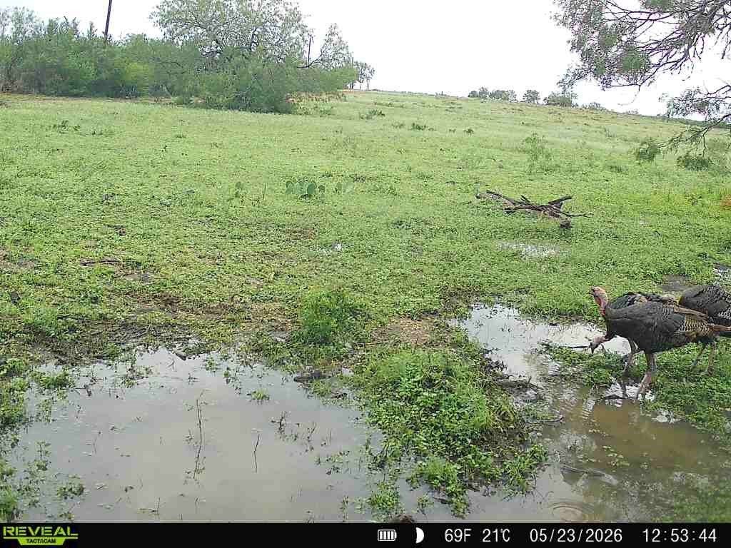 2558 County Rd 104 Property Photo 8