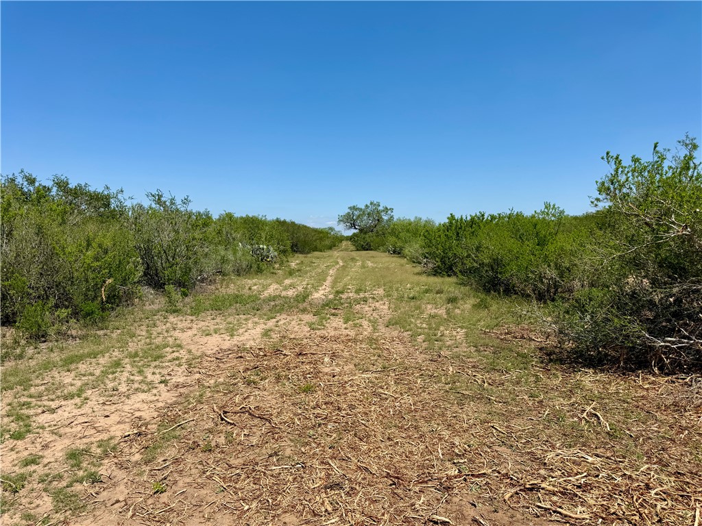 2558 County Rd 104 Property Photo 9