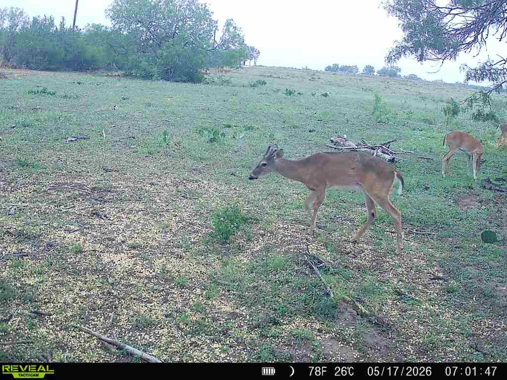 2558 County Rd 104 Property Photo 10