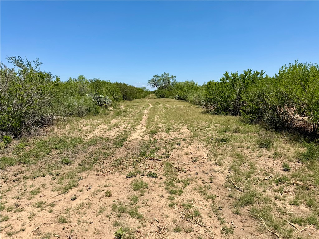2558 County Rd 104 Property Photo 14