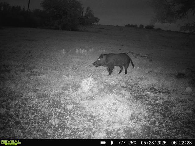 2558 County Rd 104 Property Photo 15