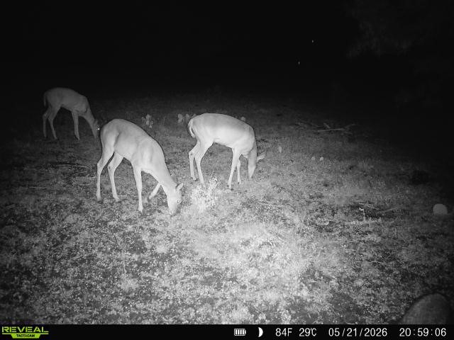 2558 County Rd 104 Property Photo 17