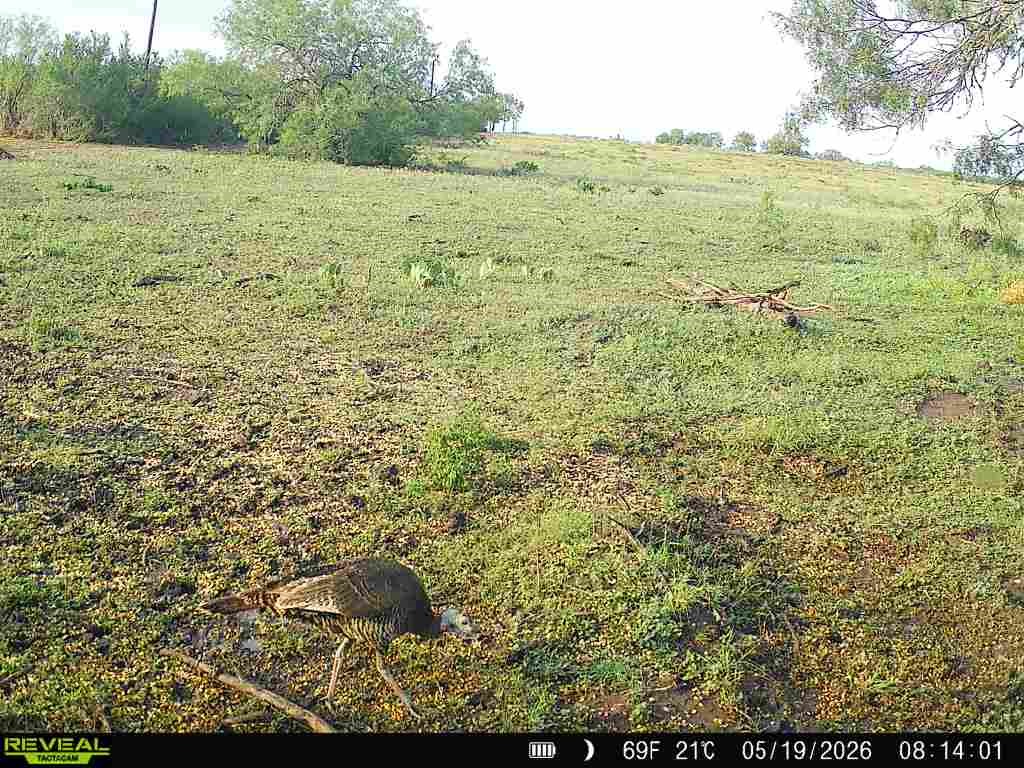 2558 County Rd 104 Property Photo 19