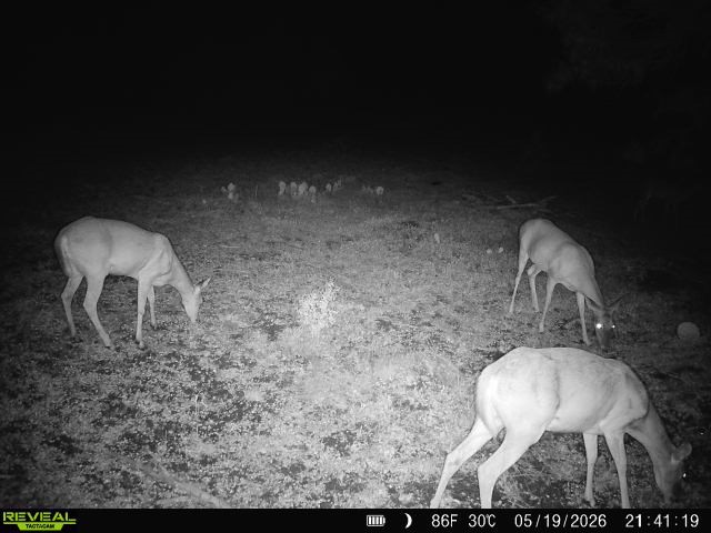 2558 County Rd 104 Property Photo 21