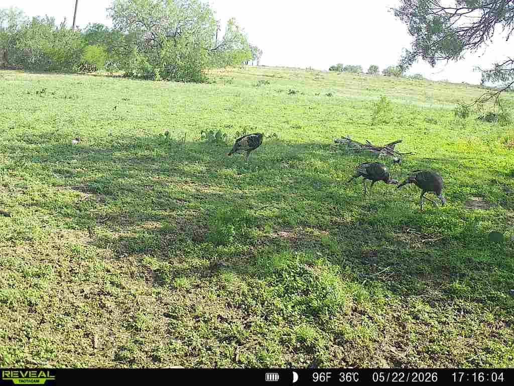 2558 County Rd 104 Property Photo 23
