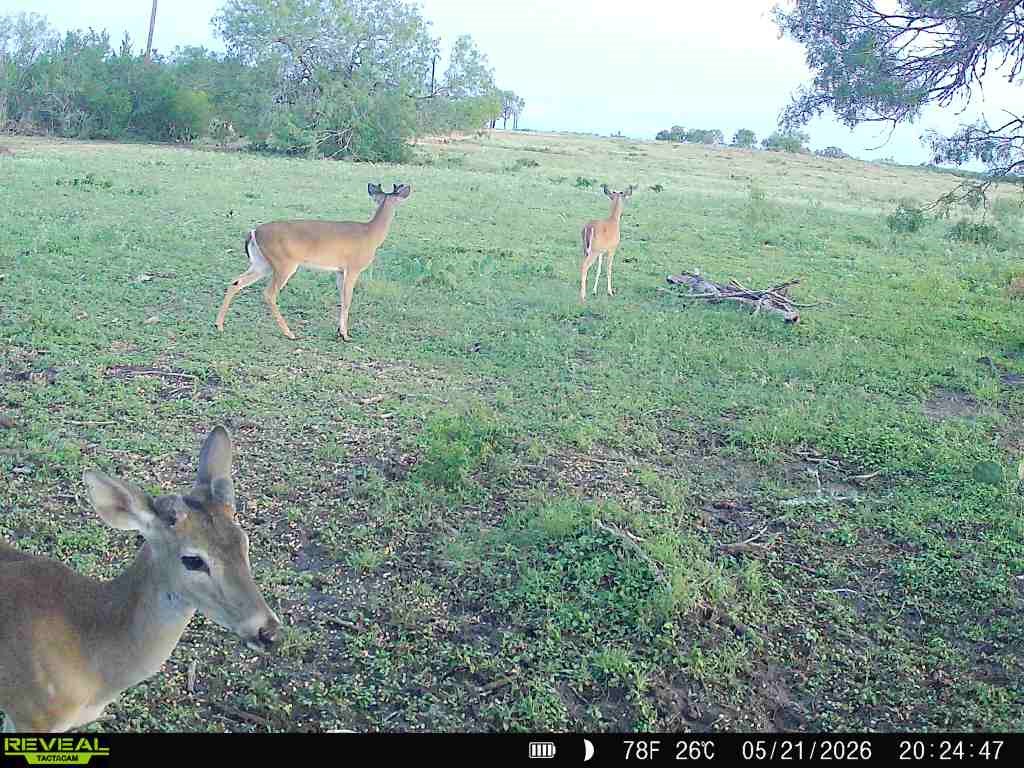 2558 County Rd 104 Property Photo 29