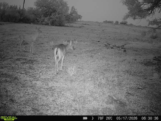 2558 County Rd 104 Property Photo 33
