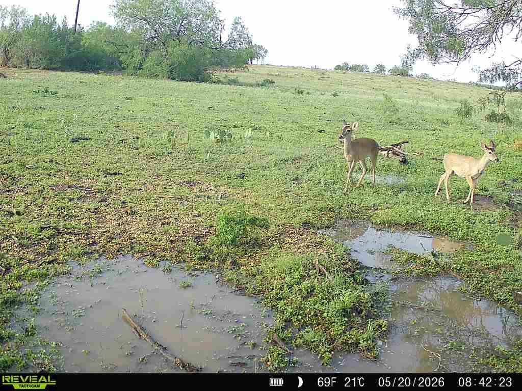 2558 County Rd 104 Property Photo 35