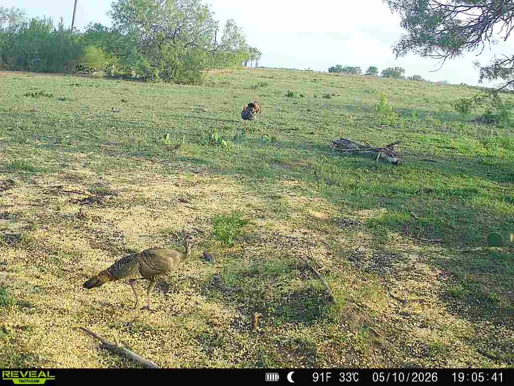2558 County Rd 104 Property Photo 39