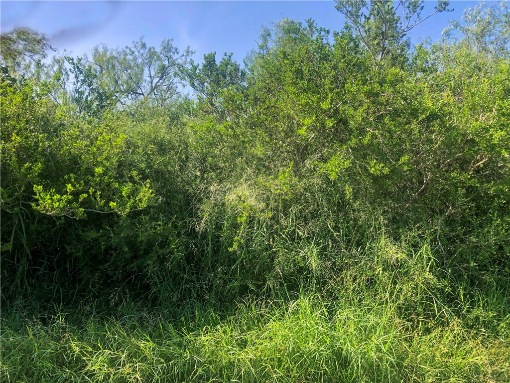 00 Cr 619 Property Photo 1