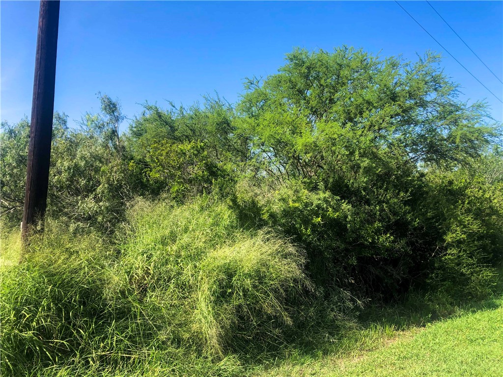 00 Cr 619 Property Photo 3