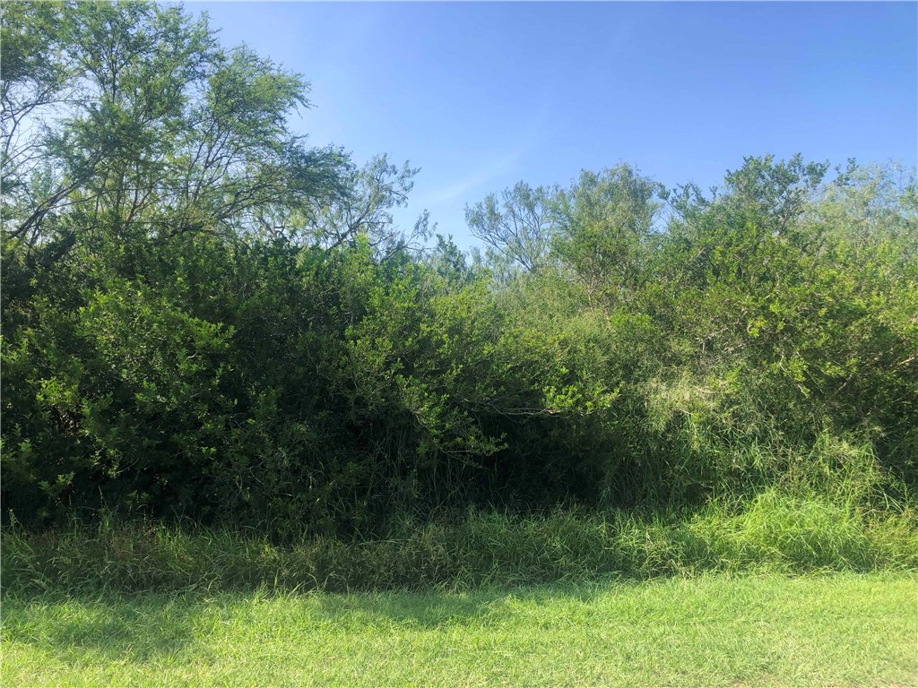 00 Cr 619 Property Photo 4