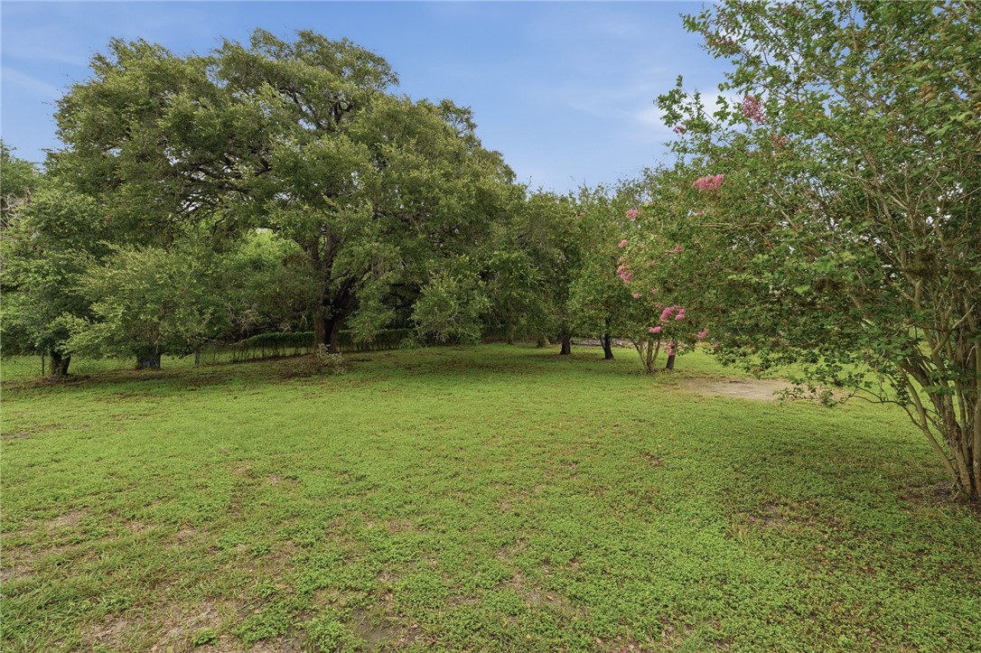 109 Fm 1360 Property Photo 29
