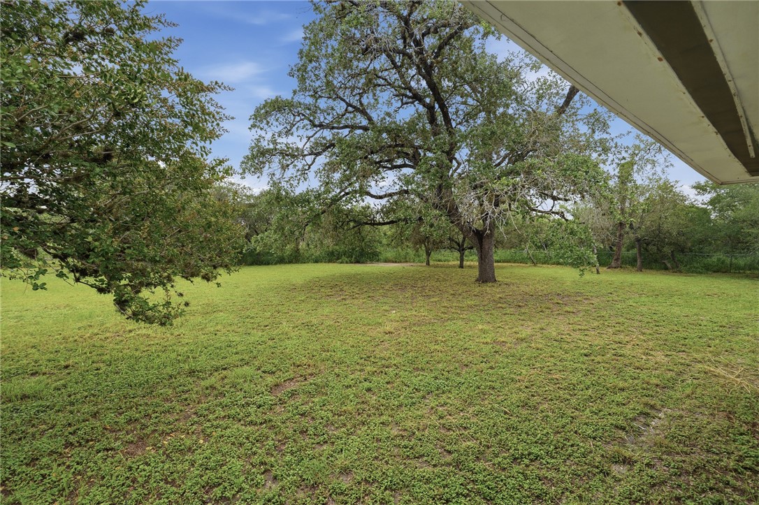 109 Fm 1360 Property Photo 30