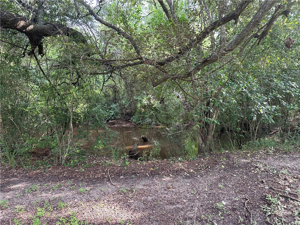 109 Fm 1360 Property Photo 34