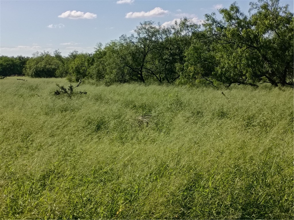 364 Deer Meadows Dr Property Photo 2