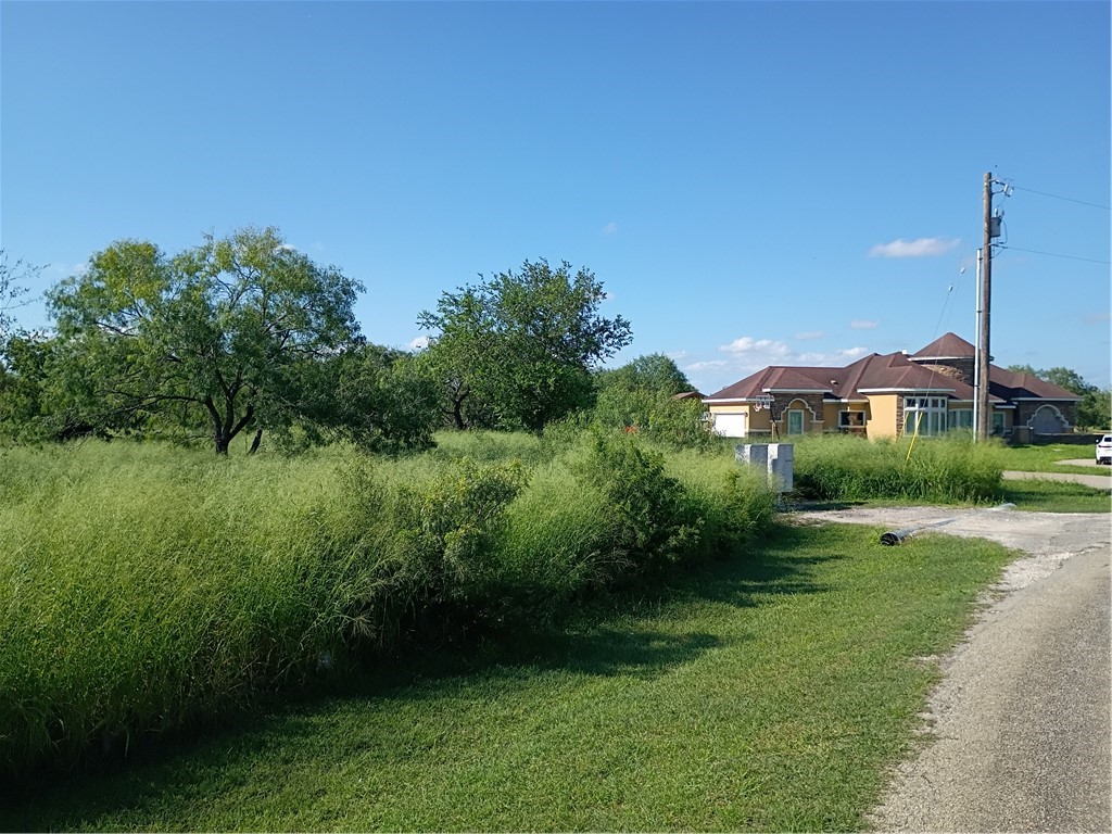 364 Deer Meadows Dr Property Photo 4