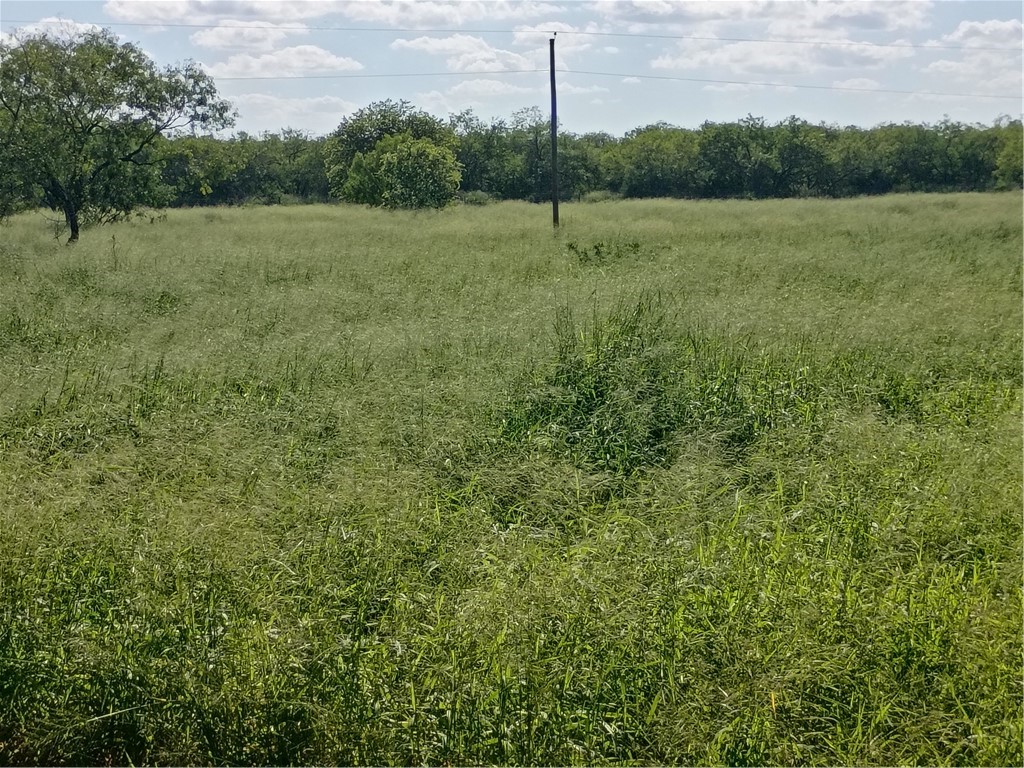 364 Deer Meadows Dr Property Photo 6